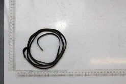 SCHEPPACH - Bande De Pare-éclats Pour Rail 1400 Mm De Scie Plongeante Scheppach, Kity Et Woodster